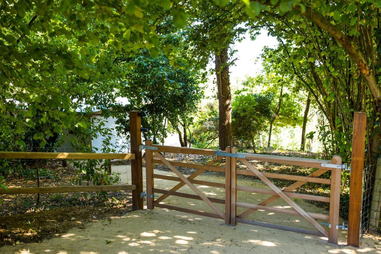 The Cabin Morris Holsbeek Ngoại thất bức ảnh